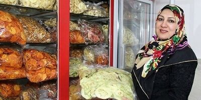 ۲۱ هزار مجوز مشاغل خانگی صادر شد