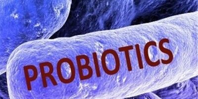پروبیوتیک ها در از بین بردن علائم کووید ۱۹ موثرند
