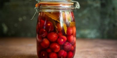 ترشی فندق؛ چاشنی خوشمزه غنی از پروتئین و فیبر
