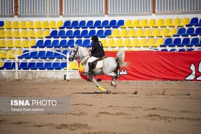 63256695__DSC8782-copy