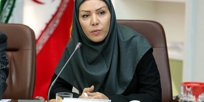هیچ محدودیتی در صدور ضمانت‌نامه و بیمه‌نامه وجود ندارد