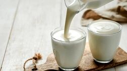 آموزش تهیه دوغ محلی با شیر و ماست