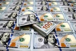 دلارهای خانگی وارد اقتصاد می‌شود؟