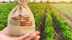 حمایت ۸۰ درصدی بانک برزیلی از کشت فراسرزمینی ایرانی‌ها
