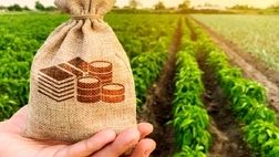حمایت ۸۰ درصدی بانک برزیلی از کشت فراسرزمینی ایرانی‌ها
