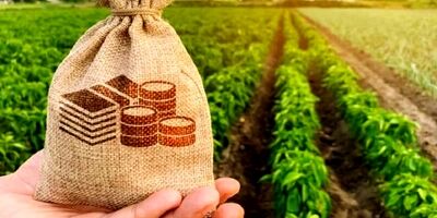 حمایت ۸۰ درصدی بانک برزیلی از کشت فراسرزمینی ایرانی‌ها
