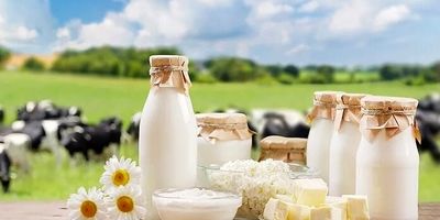 یک رژیم غذایی خاص؛ کلید داشتن مغزی سالم و فعال
