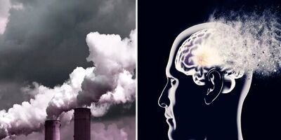 آلودگی هوا چگونه می‌تواند موجب آلزایمر شود؟