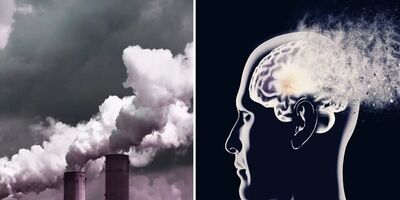 آلودگی هوا چگونه می‌تواند موجب آلزایمر شود؟