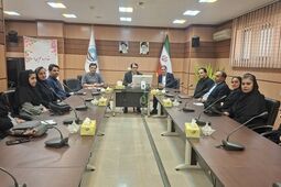 هم‌افزایی شبکه فروش برای تحقق اهداف بیمه ایران لرستان

