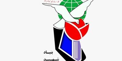 بنیاد شهید برای ارائه خدمات بیمه تکمیلی با کمبود منابع مواجه است