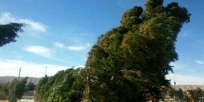 وزش باد و افزایش دما، پدیده غالب آب و هوایی این هفته
