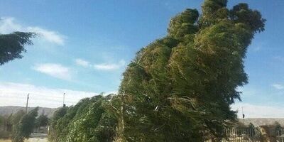 وزش باد و افزایش دما، پدیده غالب آب و هوایی این هفته
