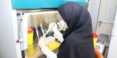 شیوع گونه H۳N۲ آنفلوآنزا در کشور 