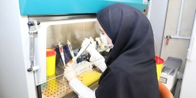 شیوع گونه H۳N۲ آنفلوآنزا در کشور 