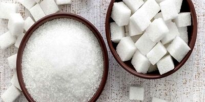 کشت پاییزه چغندر قند، کشور را به خودکفایی در تولید شکر می رساند