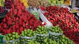 قیمت های عجیب و گران توت فرنگی در بازار میوه

