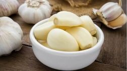 عصاره سیر  به جلوگیری از حمله ویروس کرونا به بدن انسان کمک می‌کند