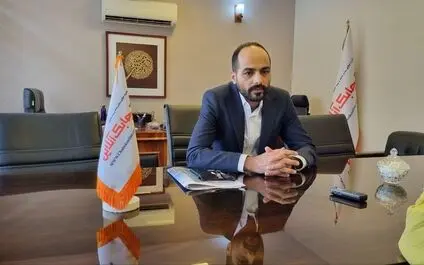 شرکت های بیمه اتکایی کوچک درد صنعت بیمه را دوا نمی کنند