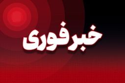 سرنگونی یک پهپاد متخاصم در شلمچه