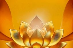 بیمه پاسارگاد رکورد شکنی کرد