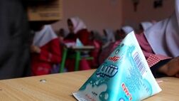 توزیع سراسری «شیر مدارس» تا پایان آذر ماه