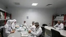 یک میلیون شغل در حوزه فناوری ایجاد شد