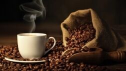 کدام مواد غذایی سال آینده ارزان می‌شوند؟
