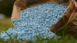 ذخیره استراتژیک کودهای کشور ۸۶۰ هزار تن