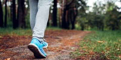 چگونه پیاده‌روی به کاهش وزن و چربی شکمی کمک می‌کند؟
