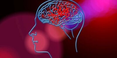پیشگیری ۸۰ درصدی از سکته‌های مغزی با این دو اقدام
