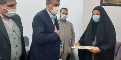 ۱۰ هزار مگاوات برق در کشور از طریق انرژی هسته ای تولید می شود