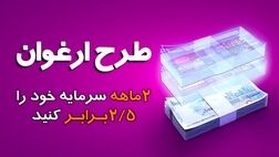 مبلغ تسهیلات طرح ارغوان بانک سینا افزایش یافت
