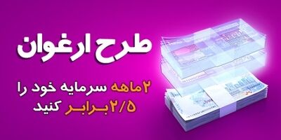 مبلغ تسهیلات طرح ارغوان بانک سینا افزایش یافت
