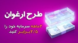 مبلغ تسهیلات طرح ارغوان بانک سینا افزایش یافت
