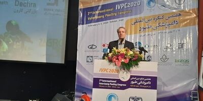 320 میلیارد ریال غرامت به صنعت طیور پرداخت شد