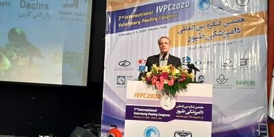 320 میلیارد ریال غرامت به صنعت طیور پرداخت شد
