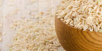 قیمت برنج در بازار کاهش می‌یابد