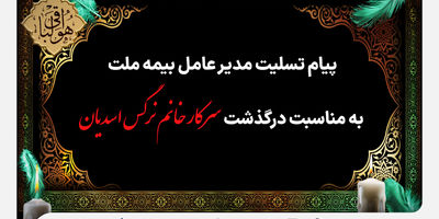 بازدید رئیس‌کل بیمه مرکزی از شعبه اراک بیمه ملت
