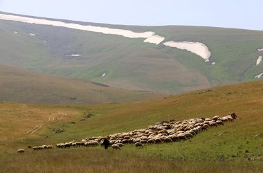 نرخ تعرفه‌های رسمی مرتعی در سال ۱۴۰۵ اعلام شد
