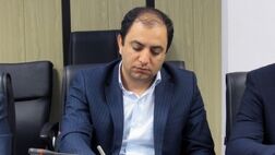 نیمی از نمایندگان بیمه‌ای با حداقل درآمد کار می‌کنند
