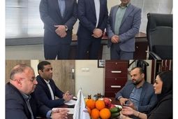 نشست مدیر بیمه آتش‌سوزی بیمه نوین با کارگزاران استان آذربایجان شرقی
