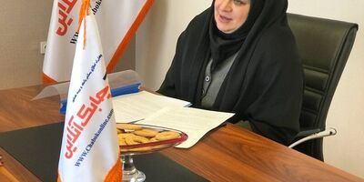 تمرکز صنعت بیمه بیشتر بر روی محصولاتی چون درمان و اتومبیل بوده است